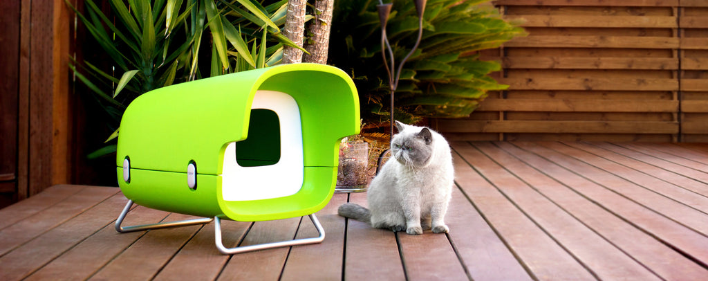 Cat adoring insulated outdoor cat house