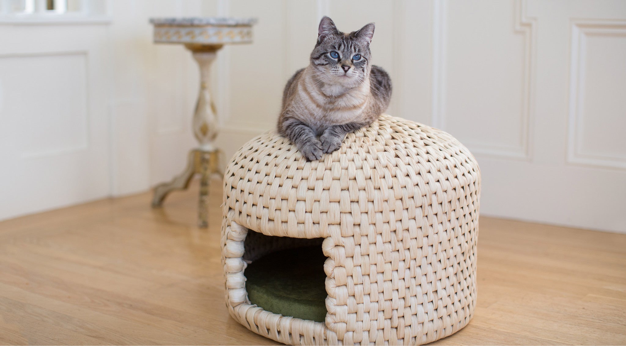 Cat relaxing on top of neko chigura eco friendly handwoven straw cat bed house