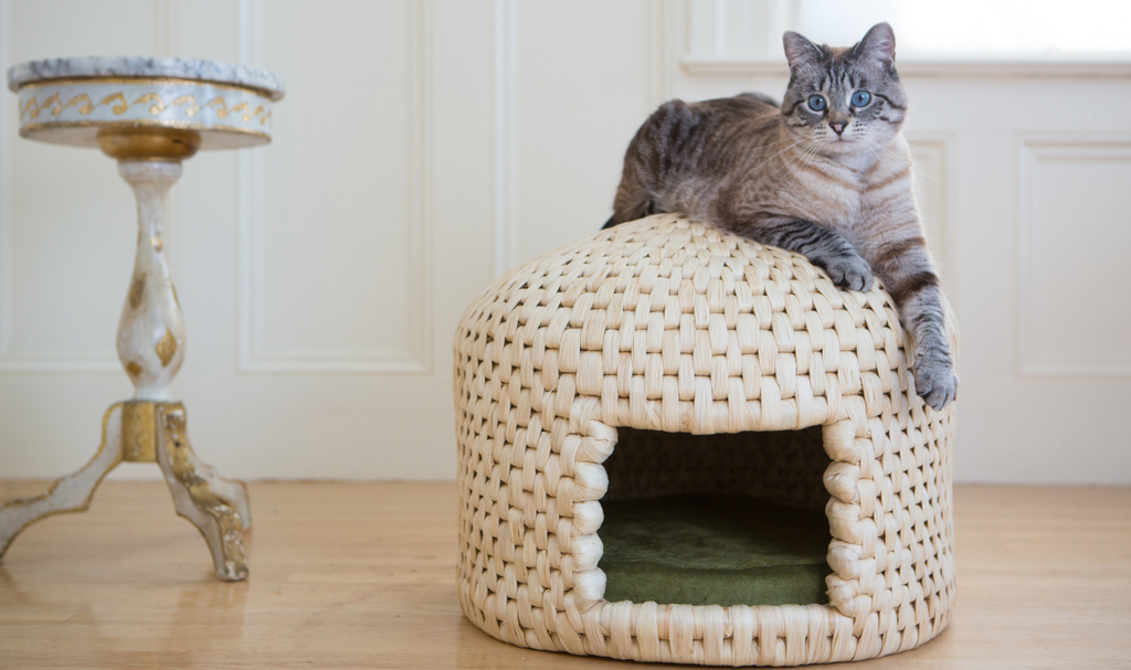 Cat lounging on eco friendly neko chigura straw cat bed house