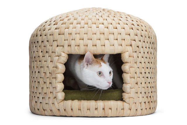 Cat peeking out of neko chigura eco friendly handwoven straw cat bed house
