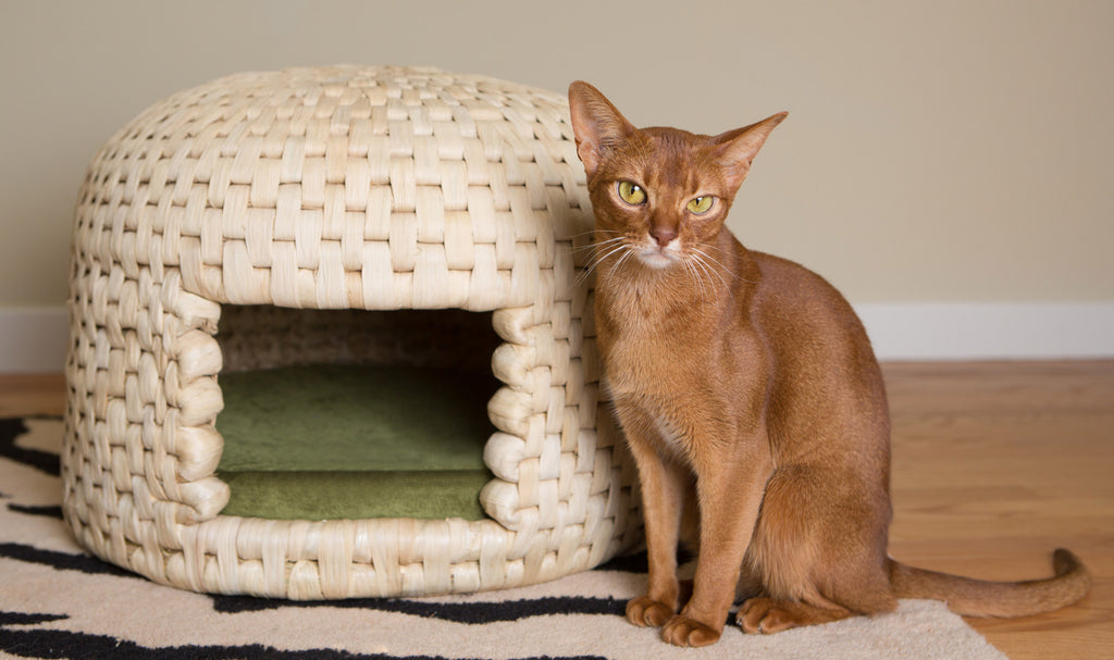 Cat loves eco friendly all natural neko chigura straw cat bed house 