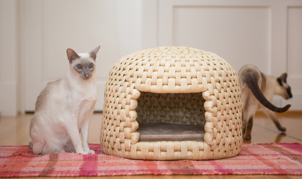 Siamese cats with eco friendly all natural neko chigura straw cat bed house