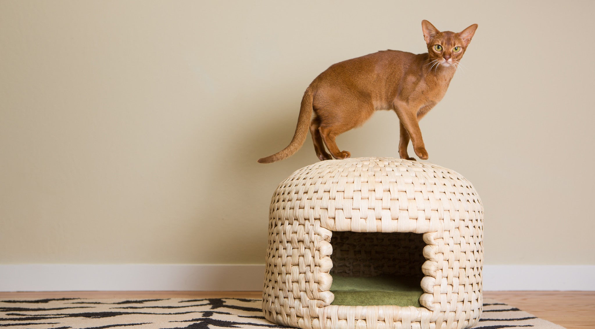 Cat climbs on neko chigura eco friendly handwoven straw cat bed house