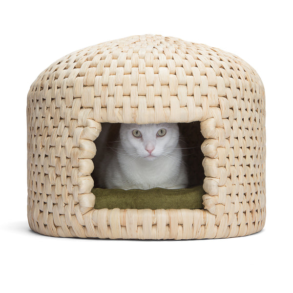 Cat relaxing in eco friendly handwoven neko chigura straw cat bed house 